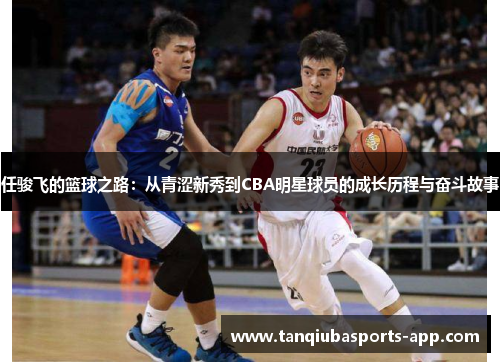 任骏飞的篮球之路：从青涩新秀到CBA明星球员的成长历程与奋斗故事